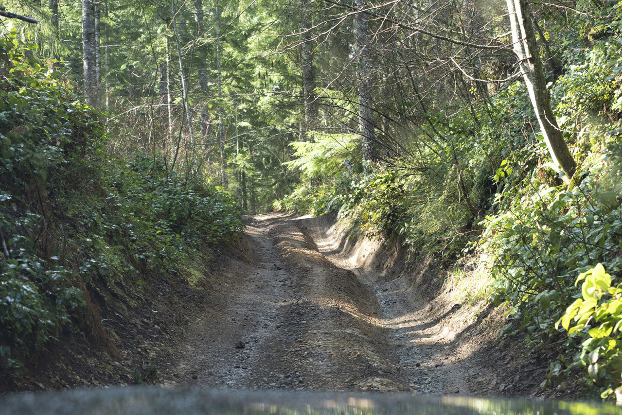 DSC_9424.jpg