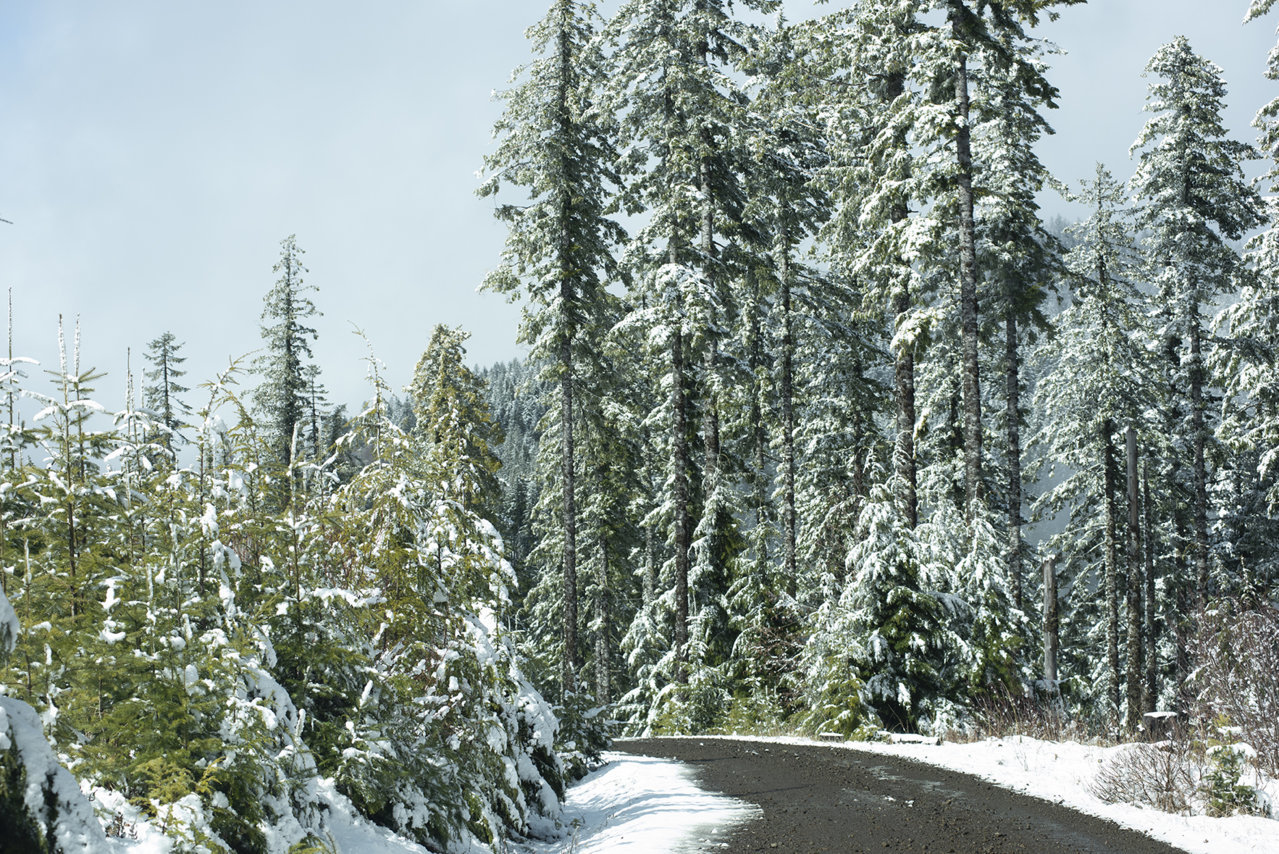DSC_9433.jpg