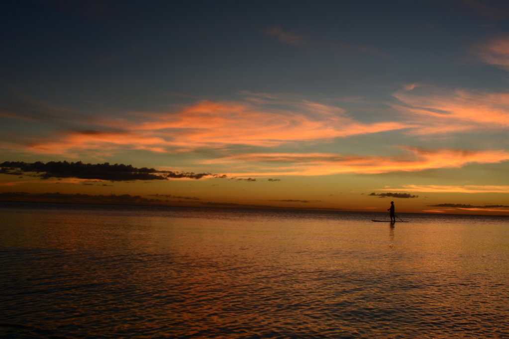 DSC_9599.jpg