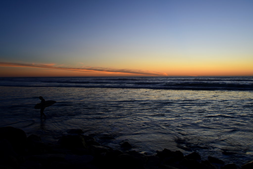 DSC_9850.jpg