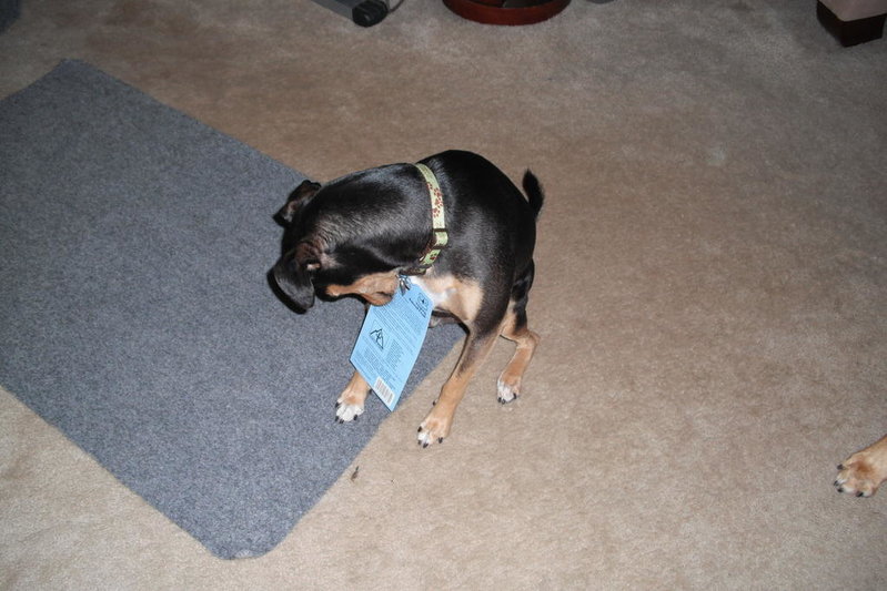 DSCF0001.jpg