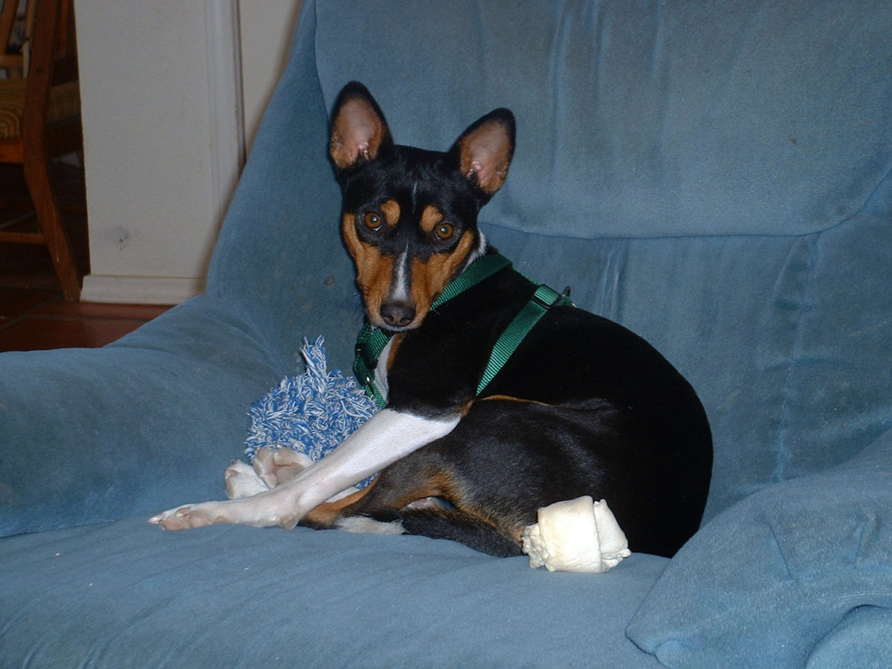 DSCF0005.jpg