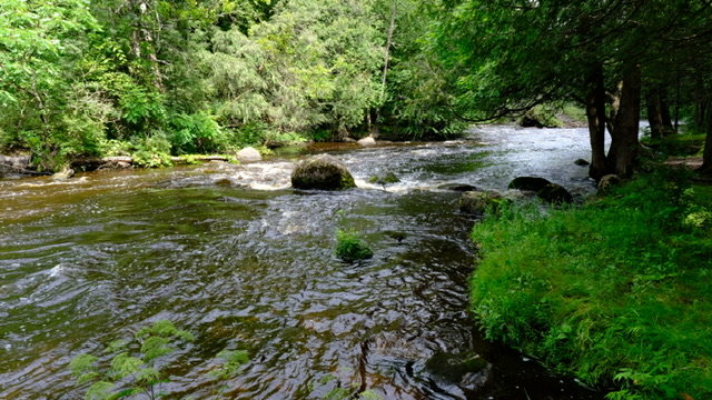 DSCF0007.jpg