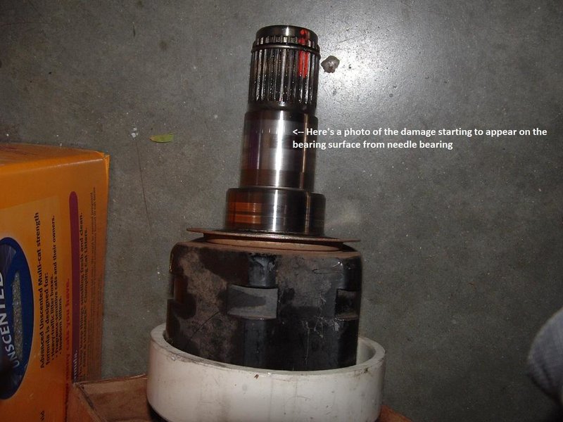 DSCF0014-b.jpg