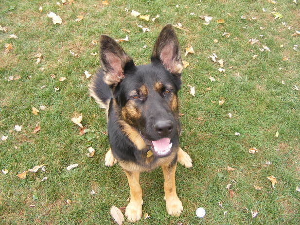 DSCF0020.jpg