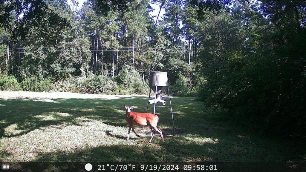 DSCF0024.jpg