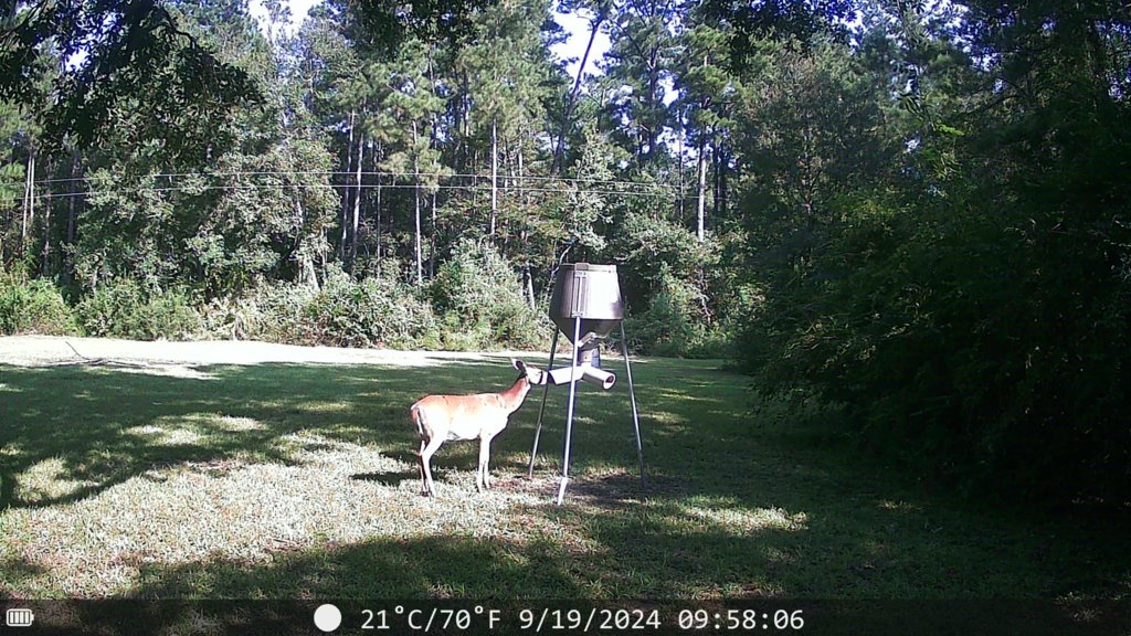 DSCF0026.jpg