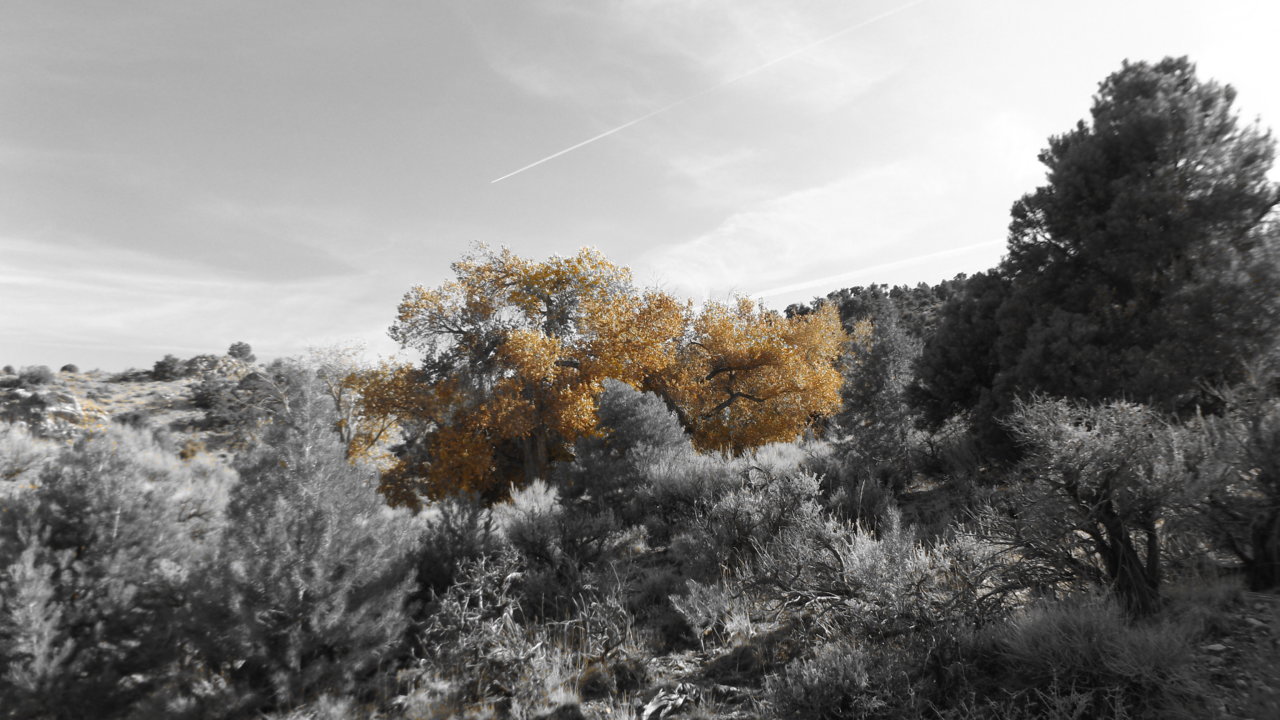 DSCF0050.jpg