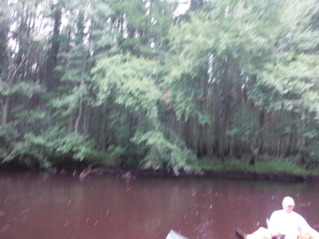 DSCF0056_356549beebe2f20df74dfb297a40825d4cf4ff23.jpg