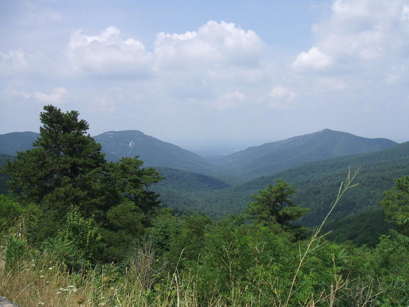 DSCF0080.jpg