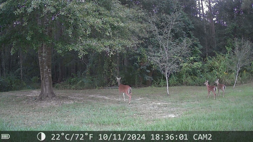DSCF0097.jpg