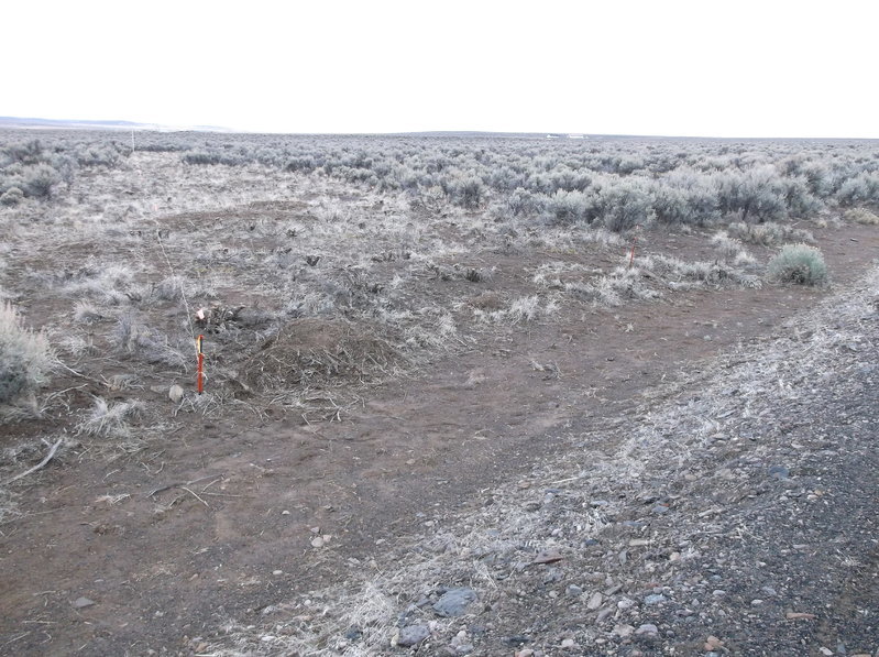 DSCF0106.jpg