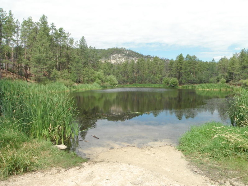 DSCF0244.jpg
