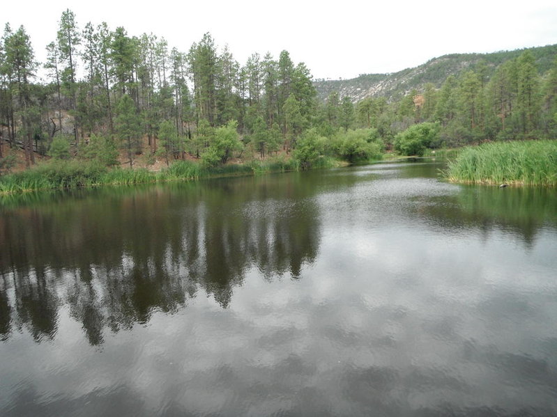 DSCF0250.jpg