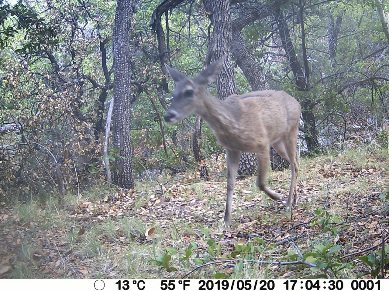 DSCF0293.jpg