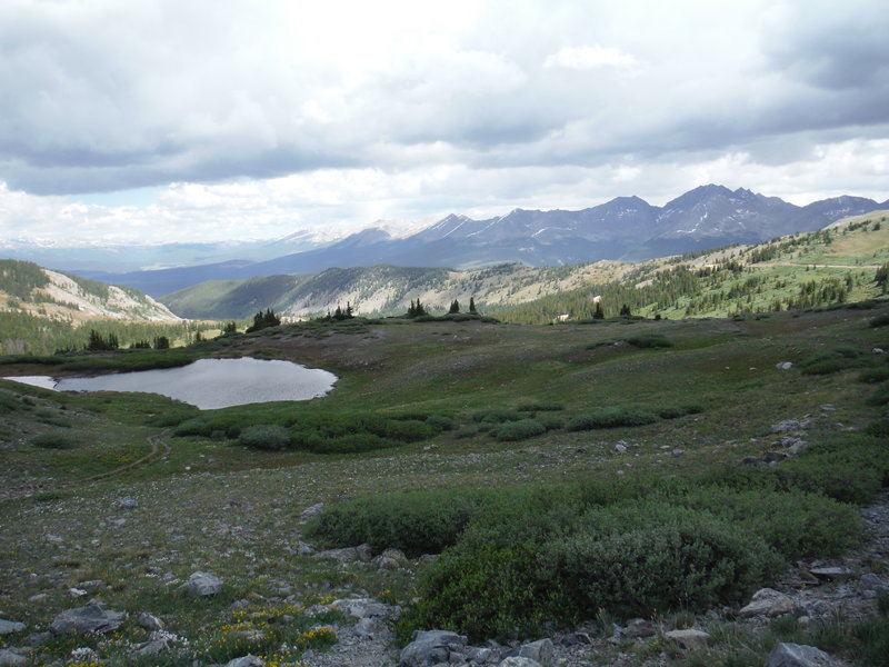DSCF0520.jpg