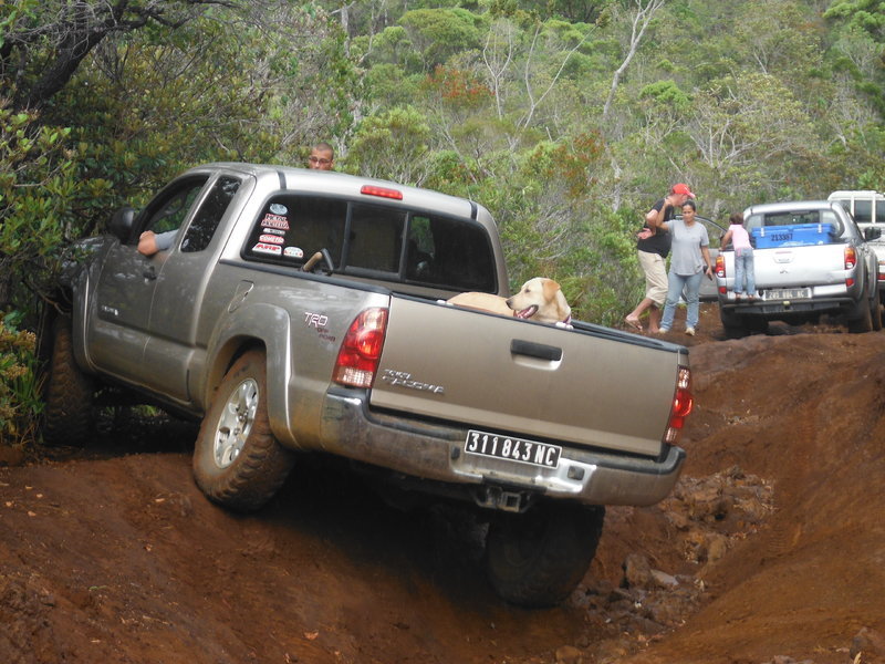 DSCF0522.jpg