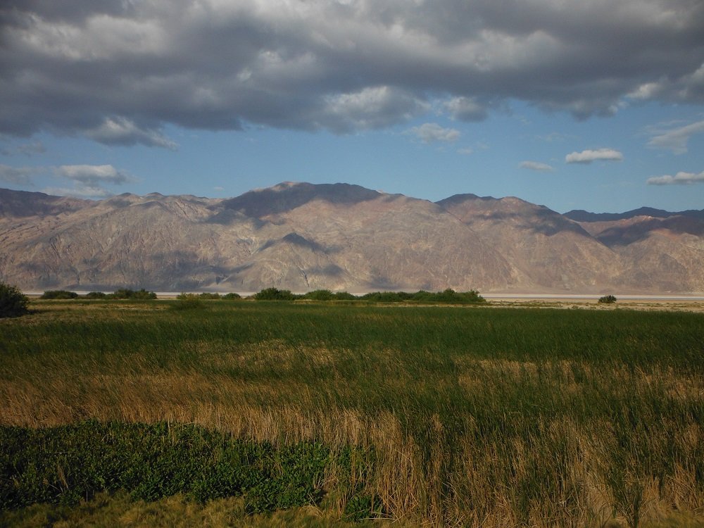 DSCF0631.jpg