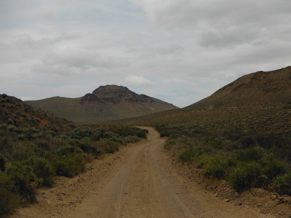 DSCF0724.jpg