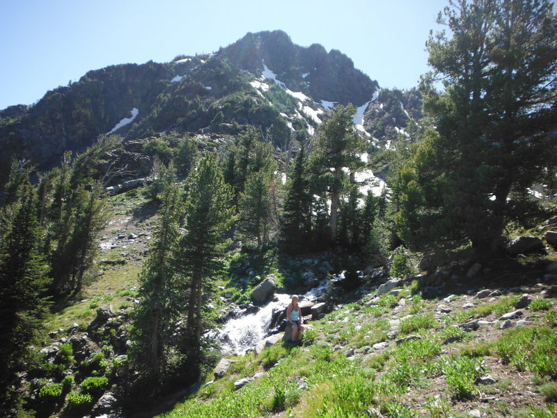 DSCF0731.jpg