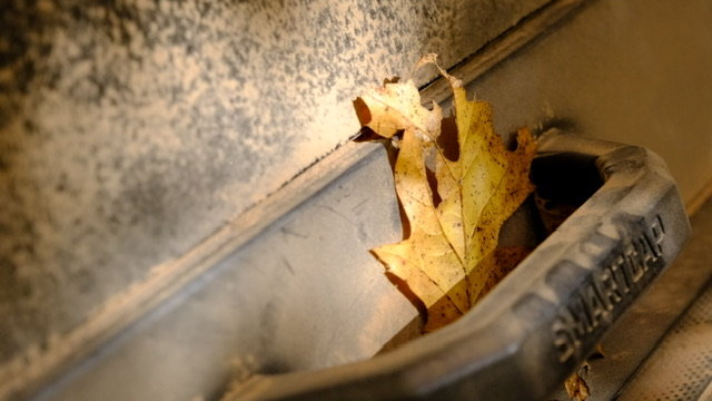 DSCF0736.jpg