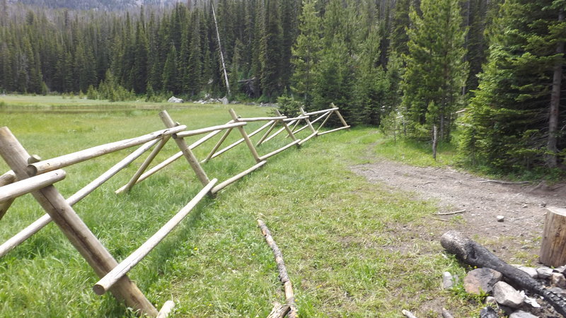 DSCF0741.jpg