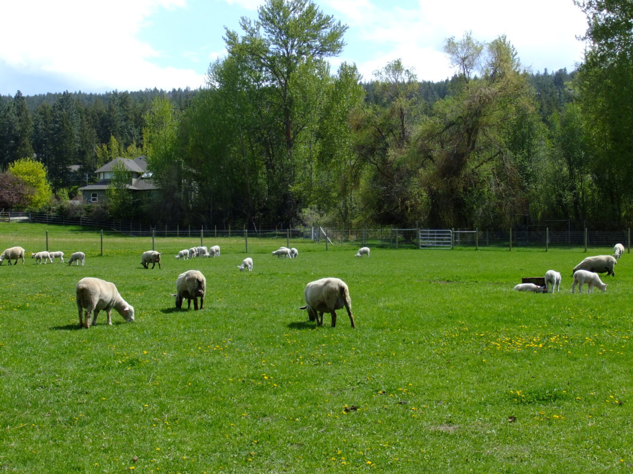 DSCF0759.jpg