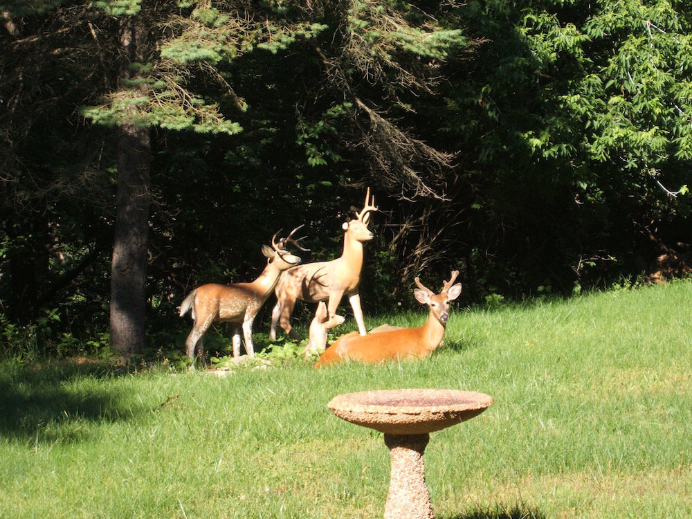 DSCF0767.jpg