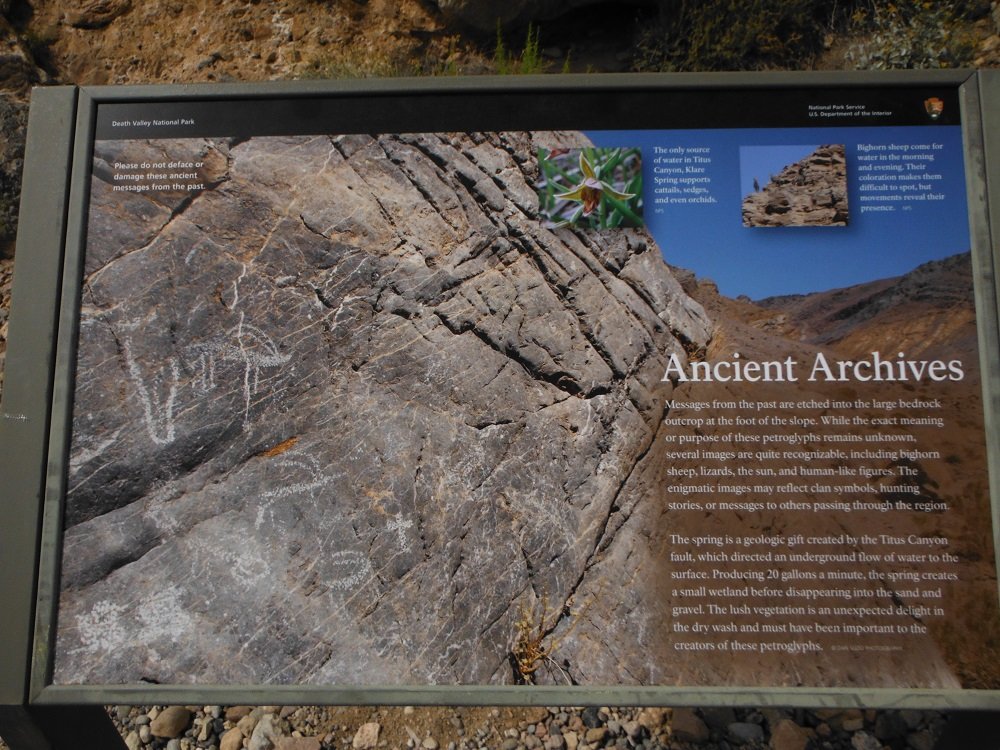 DSCF0823.jpg