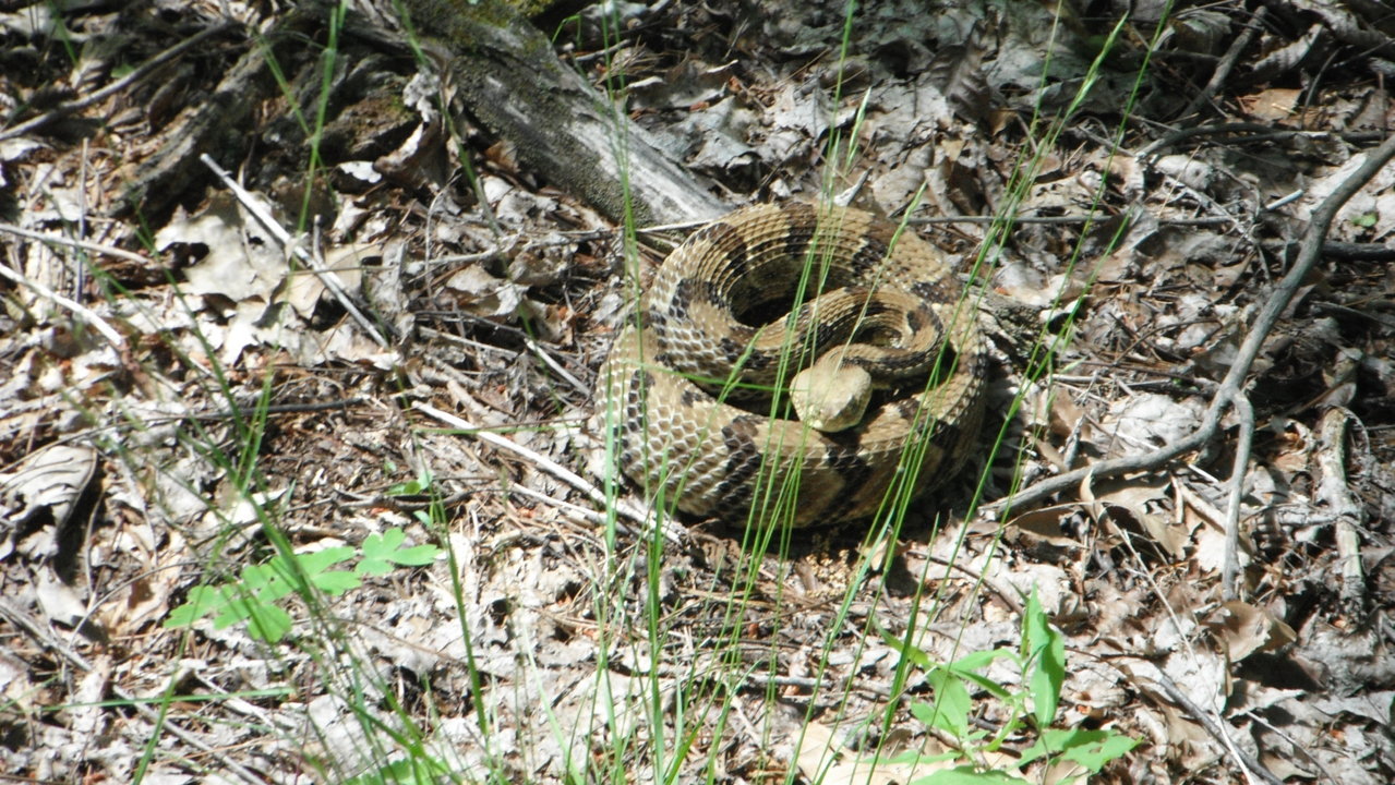 DSCF0872.jpg