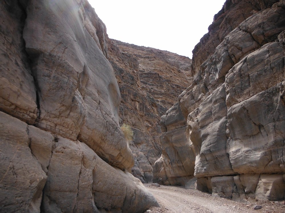 DSCF0873.jpg