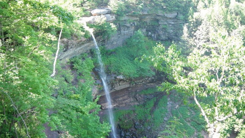 DSCF0875.jpg