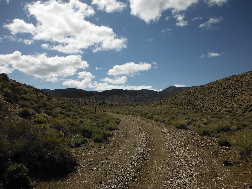 DSCF0917.jpg