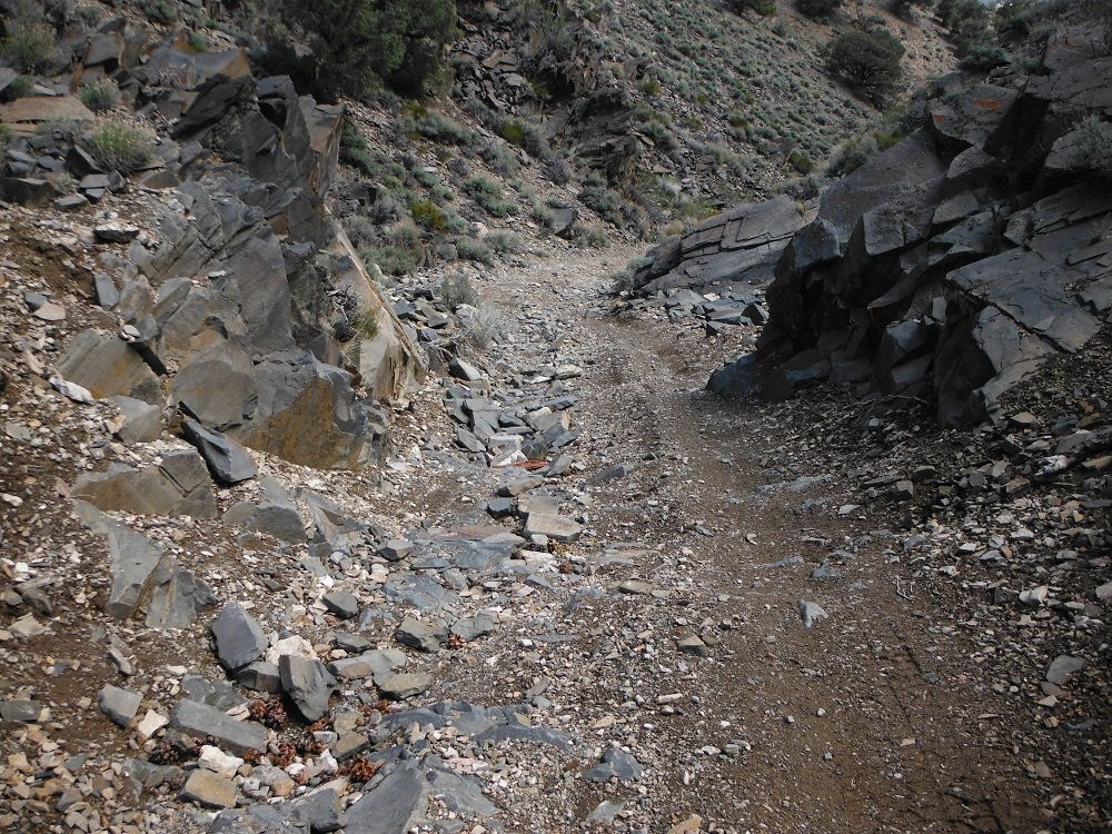 DSCF0943.jpg