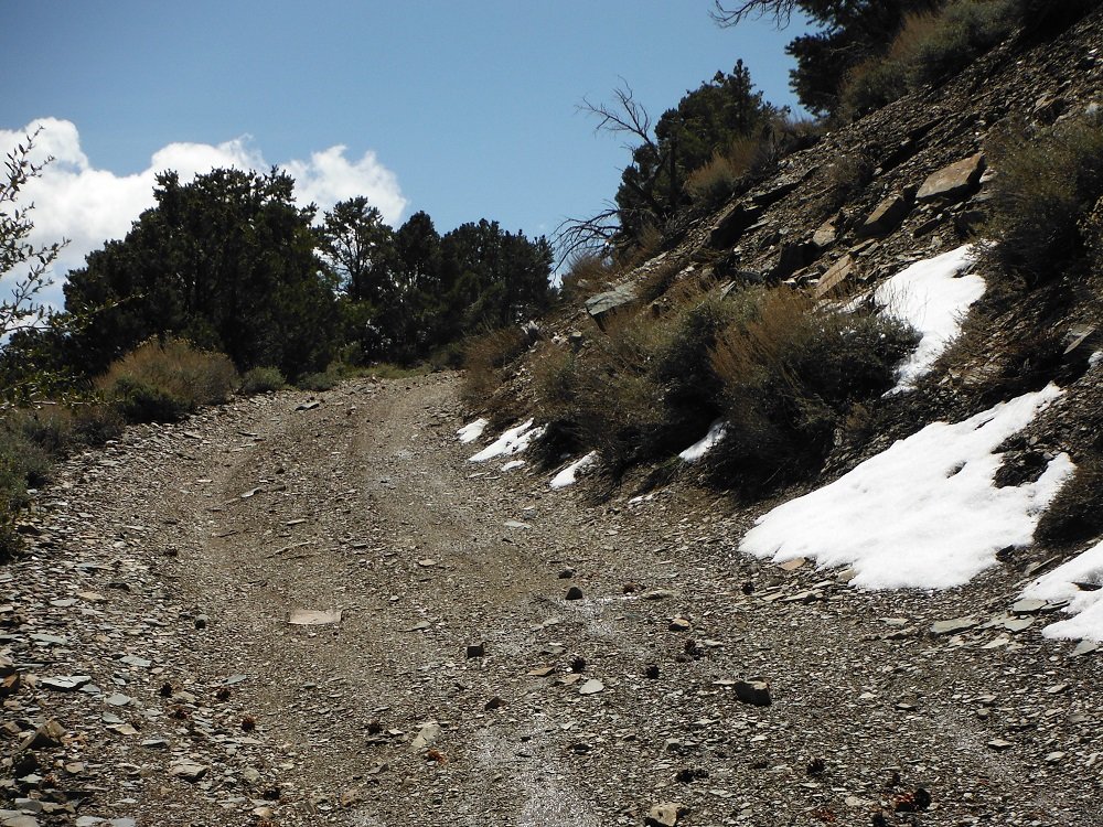 DSCF0959.jpg