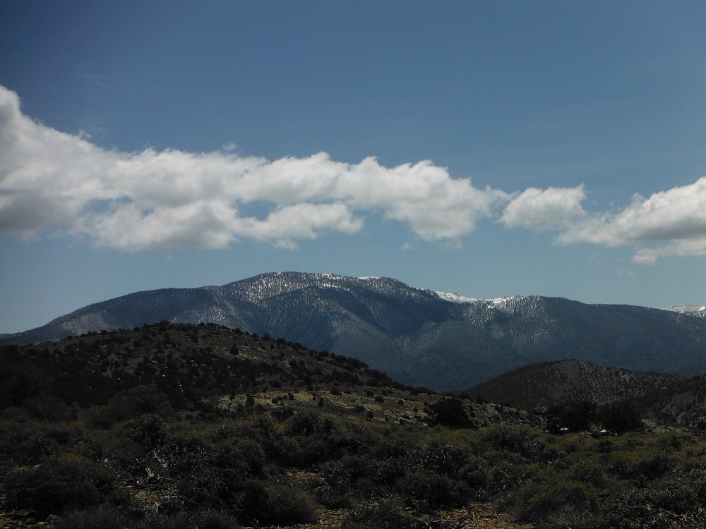 DSCF0970.jpg