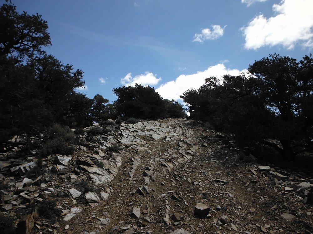DSCF1026.jpg