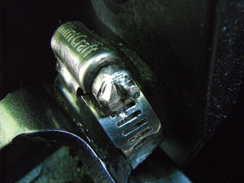DSCF1256.jpg