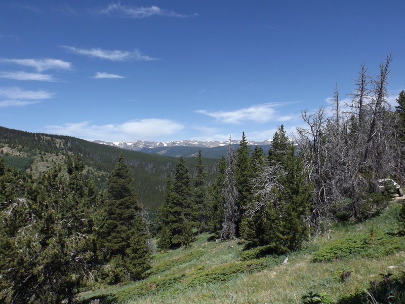 DSCF1325.jpg