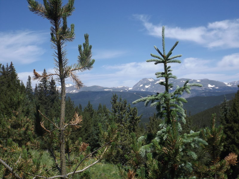DSCF1334.jpg