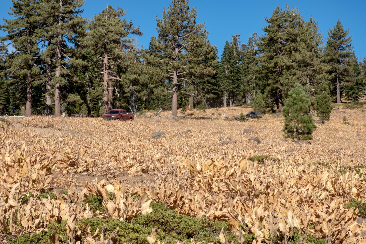 DSCF1341-Edit.jpg