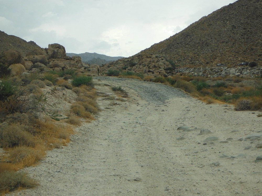 DSCF1397.jpg