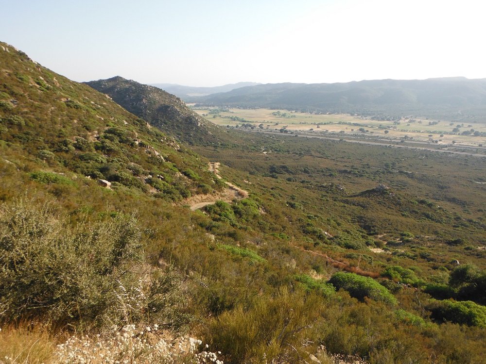 DSCF1422.jpg