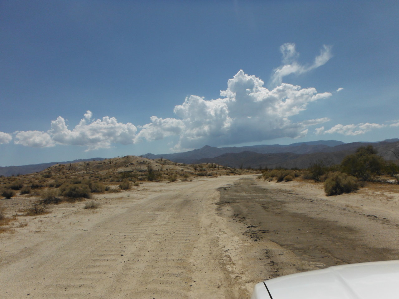 DSCF1580.jpg