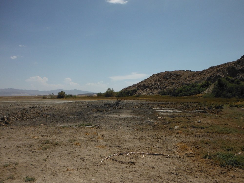 DSCF1752.jpg