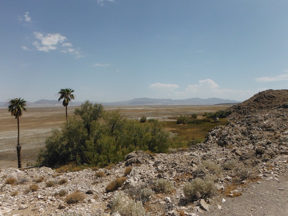 DSCF1791.jpg