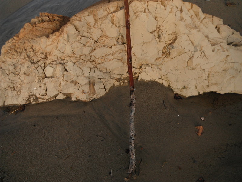 DSCF1977.jpg