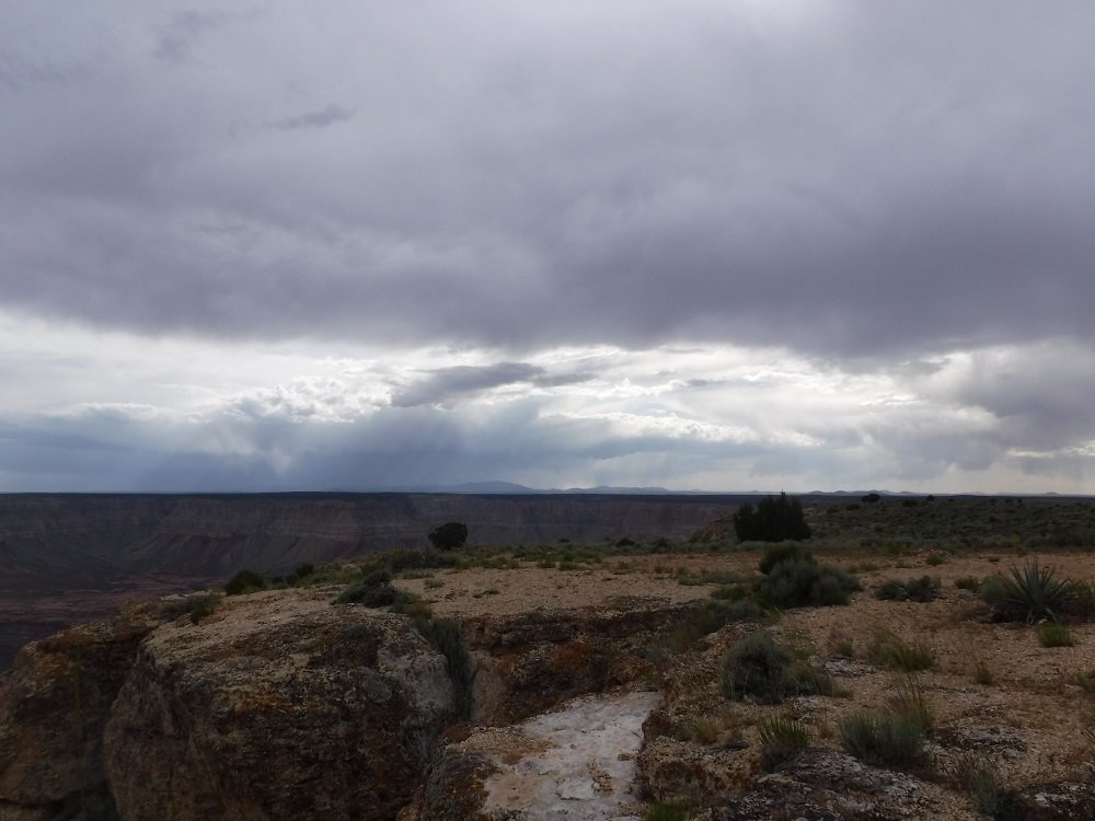 DSCF2052.jpg
