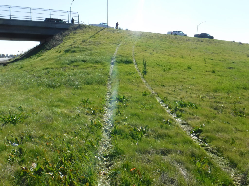 DSCF2153.jpg