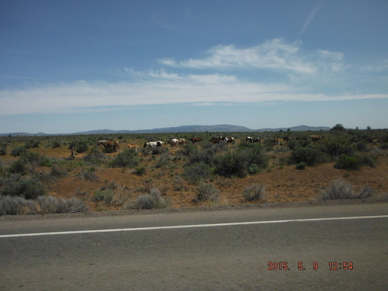DSCF2339.jpg